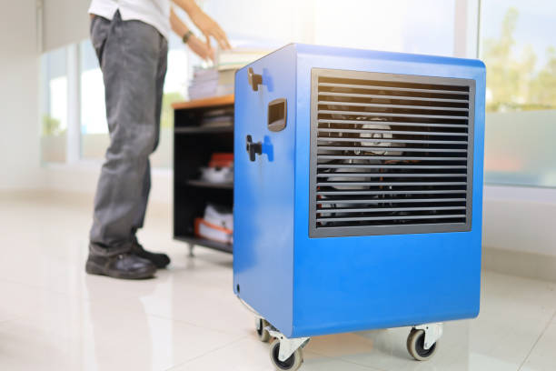 Best Air Quality Testing for Mold Spores  in Eaton Rapids, MI